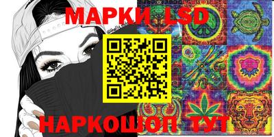 ПСИЛОЦИБИНОВЫЕ ГРИБЫ Заволжье
