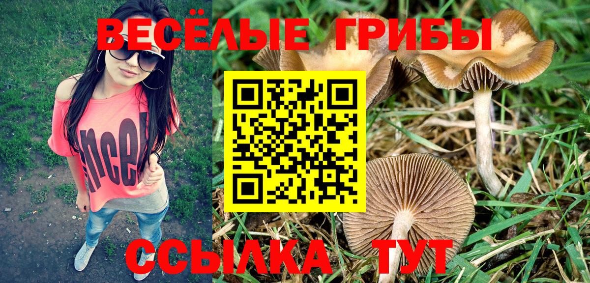 Галлюциногенные грибы GOLDEN TEACHER Дубна