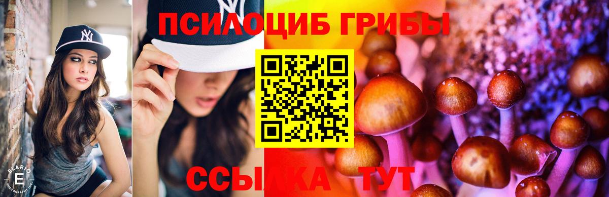 Галлюциногенные грибы MAGIC MUSHROOMS  Вход с VPN  Дубна 