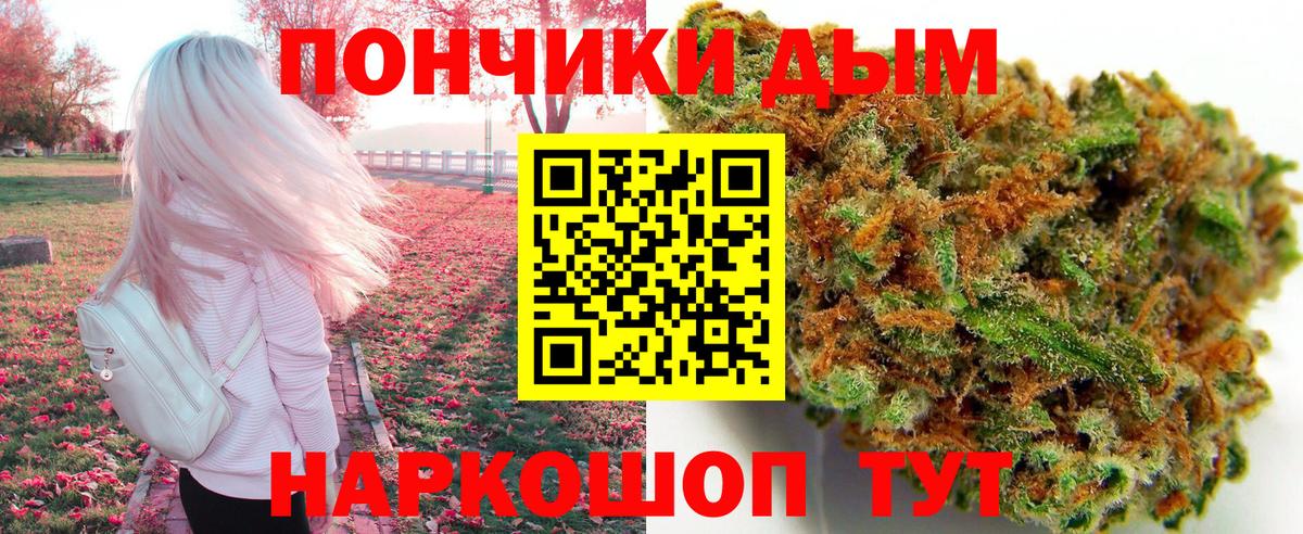 Бошки марихуана SATIVA & INDICA  Канабис SATIVA & INDICA  Каннабис план  Дубна 